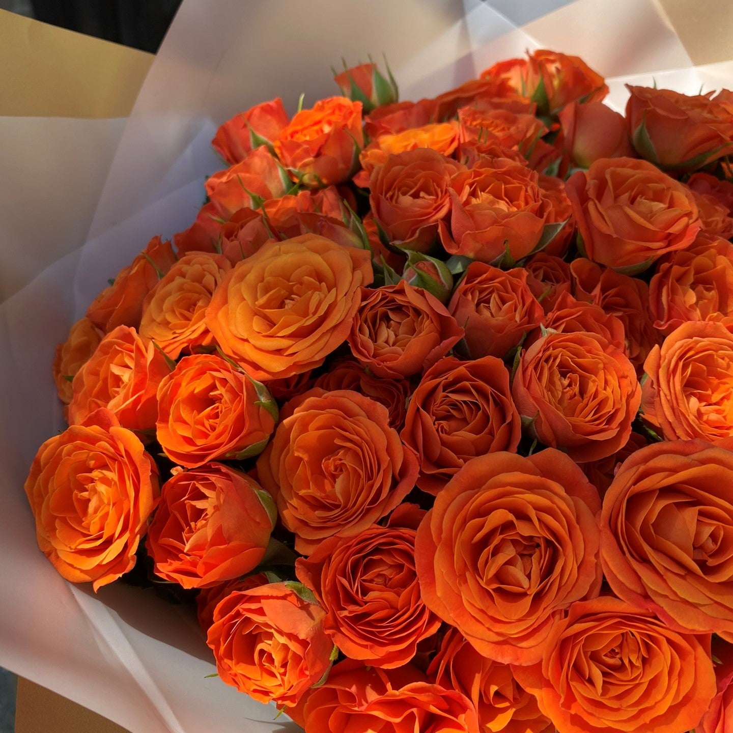 # 37 Orange Spray Roses Bouquet