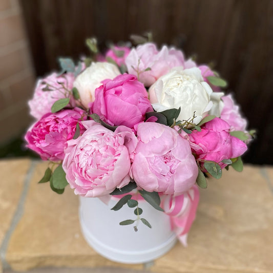 # 48 Mix of Peonies in box