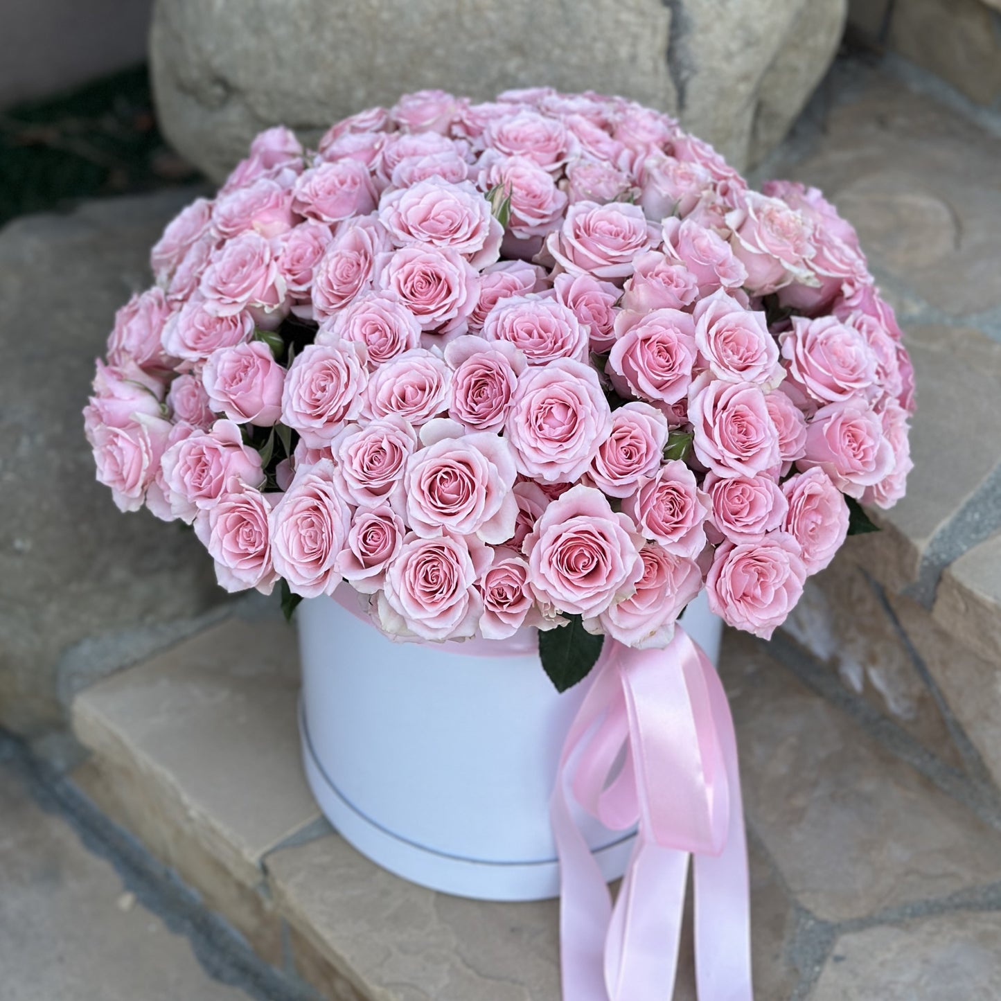 # 62 Pink Spray Roses in round Box