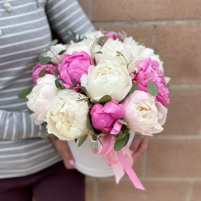 # 48 Mix of Peonies in box