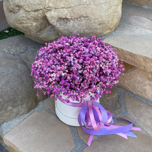 007 Baby's Breath Forever Flowers in a Round Box.