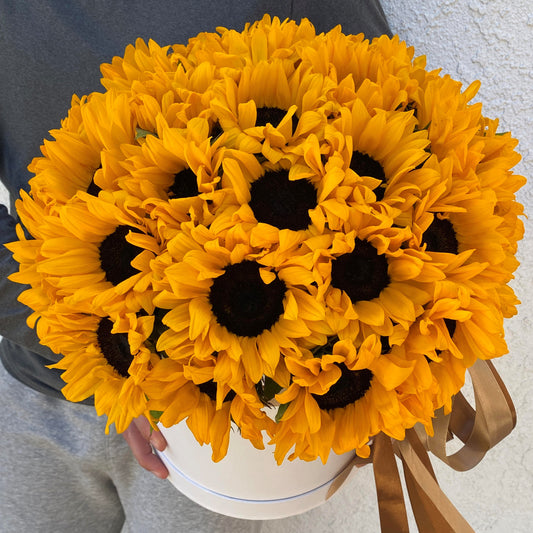 # 24 Sunflower Box