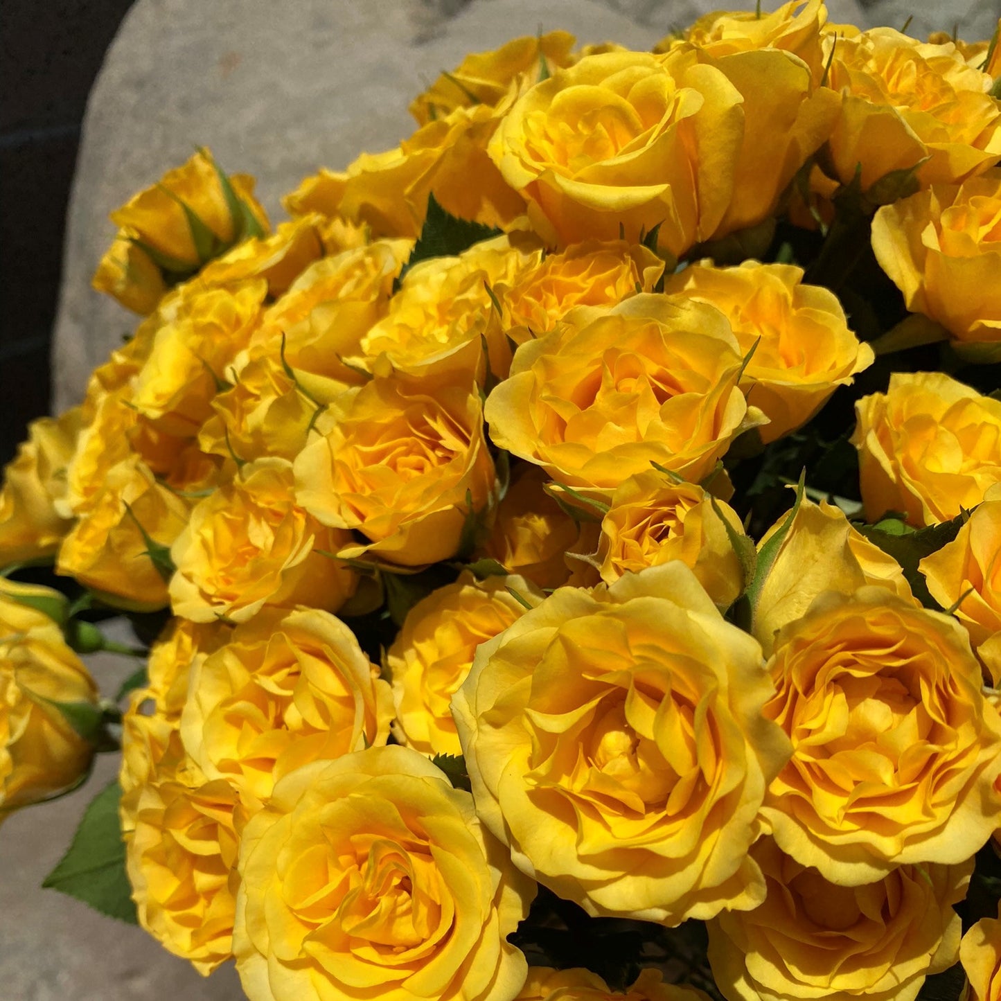 # 36 Yellow Spray Roses Bouquet