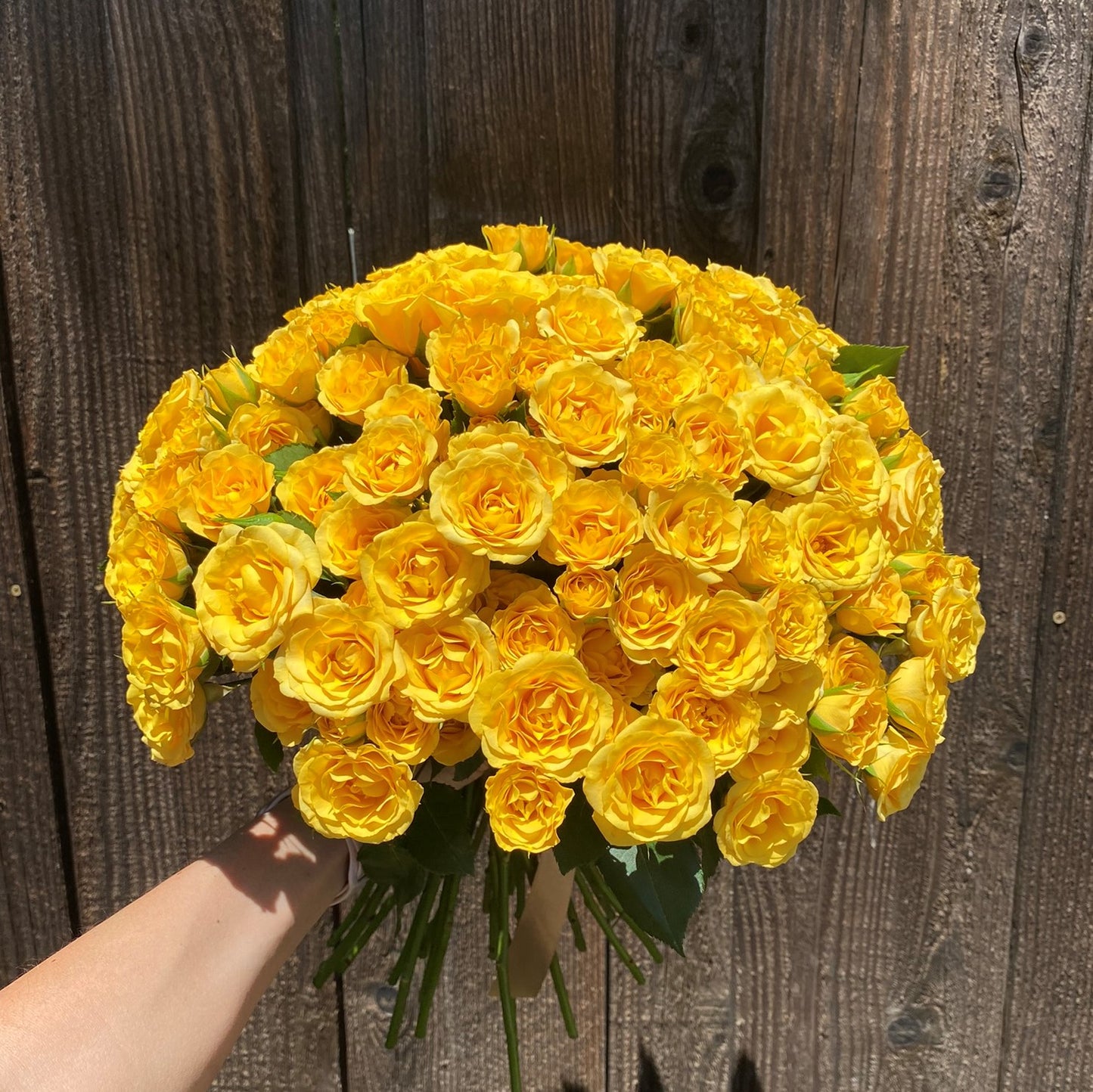 # 36 Yellow Spray Roses Bouquet