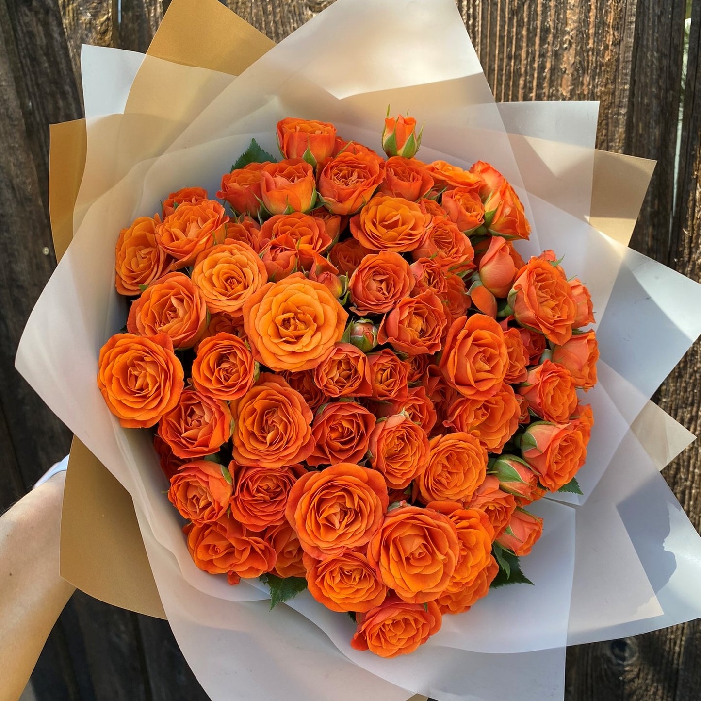 # 37 Orange Spray Roses Bouquet